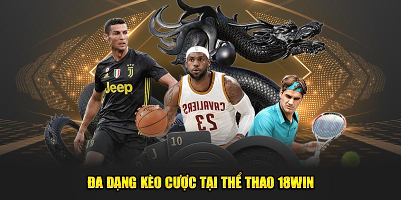 Thể thao 18Win có đạ dạng các loại kèo cá cược bóng đá 